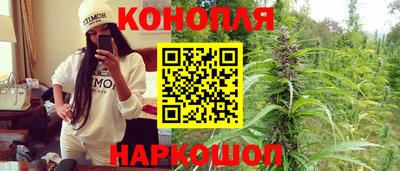 прущие грибы Краснодар