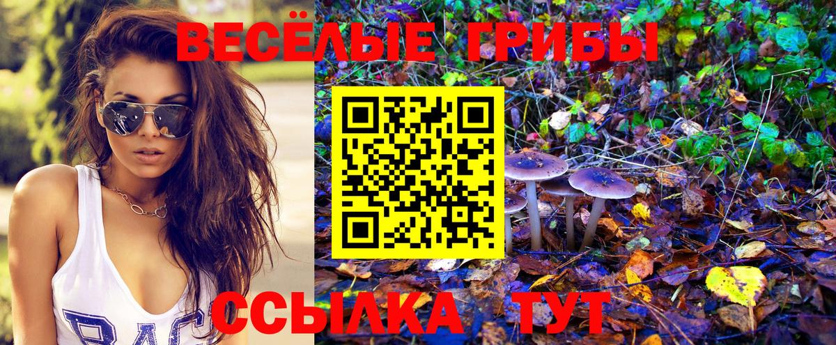 Псилоцибиновые грибы мицелий Кимры